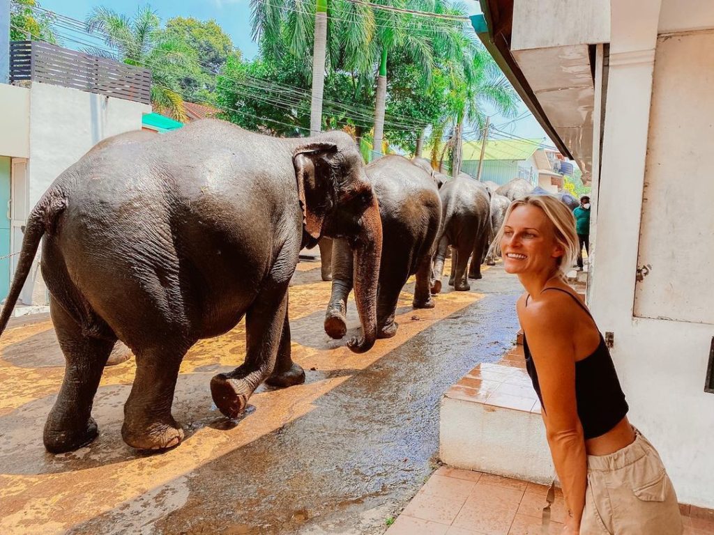 Pinnawala Elephant Orphanage Sri Lanka