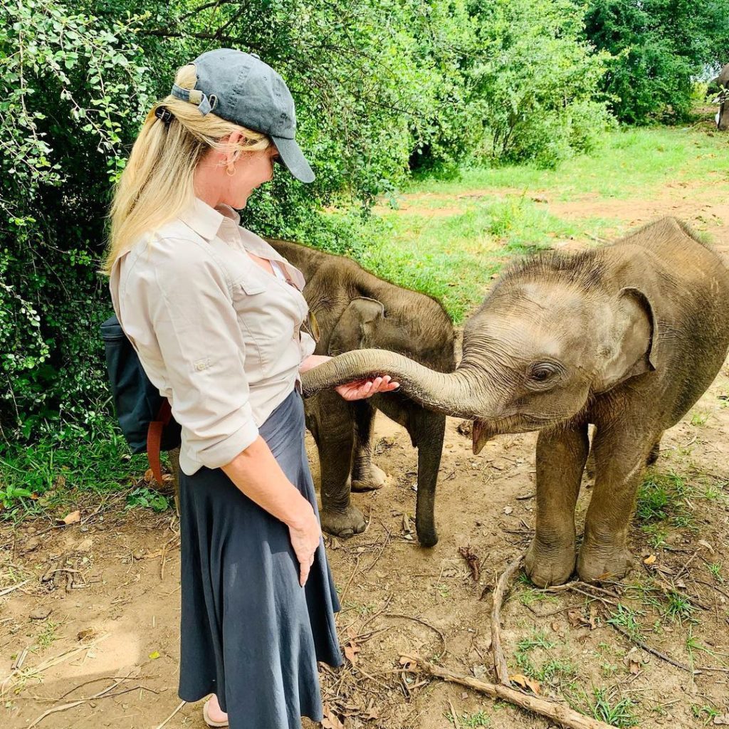 Udawalawe Elephant Transfer Home