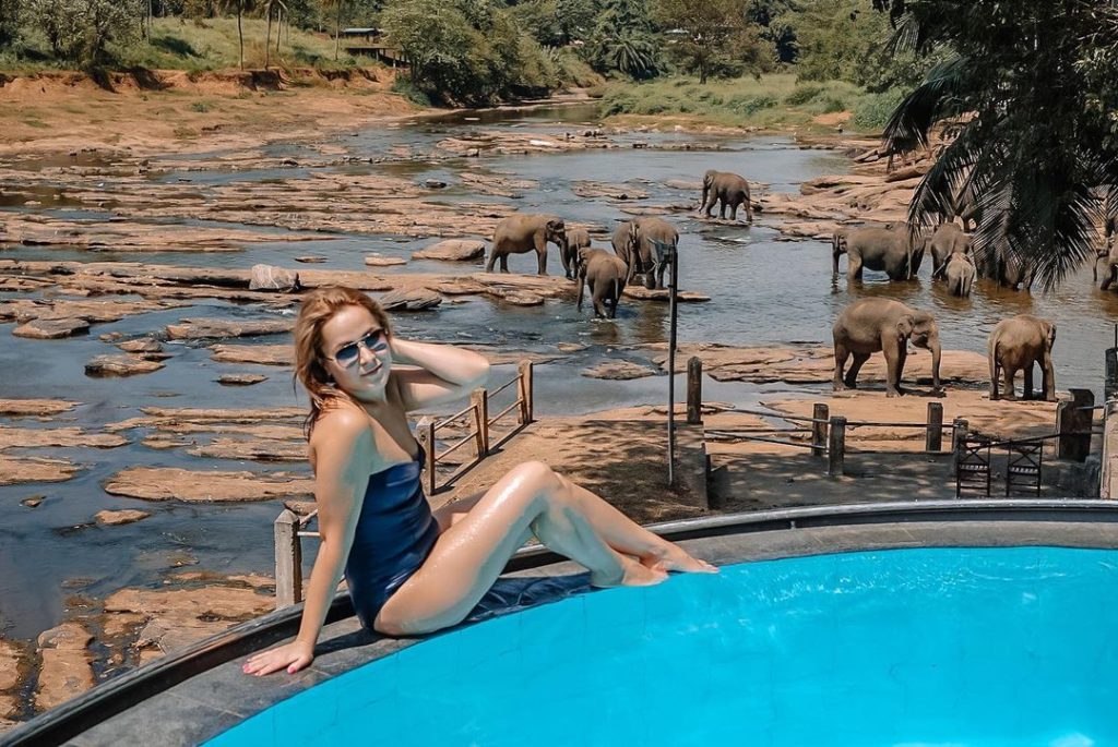 Pinnawala Elephant Orphanage Sri Lanka