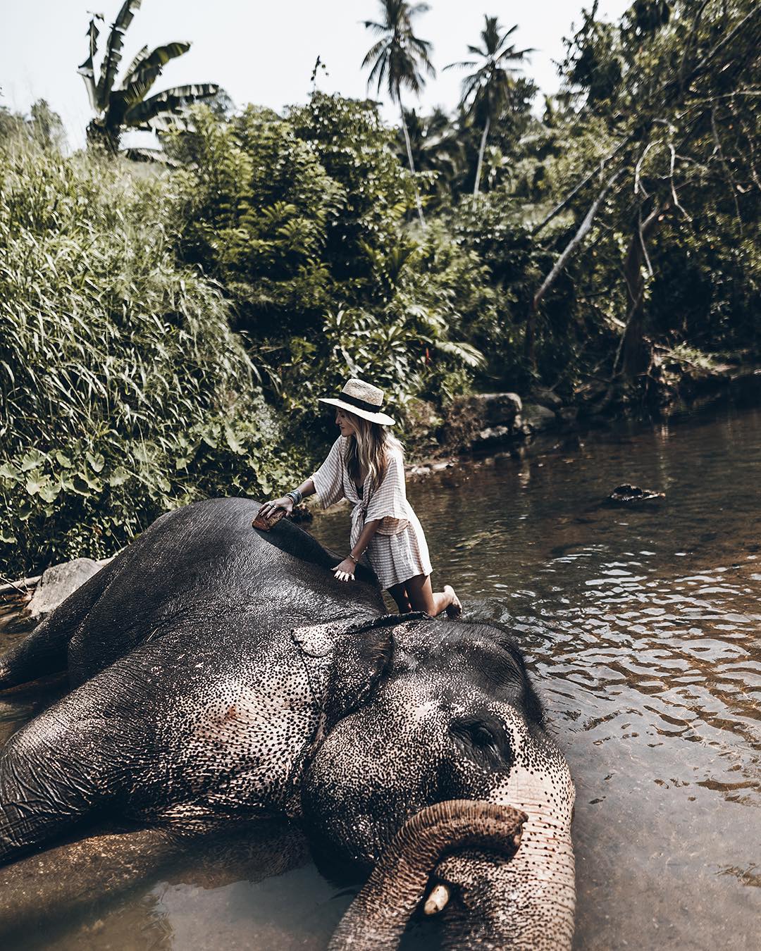 Elephant Freedom Project - Elephant Orphanage Sri Lanka