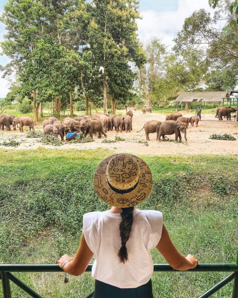Udawalawe Transit Home Ticket Price