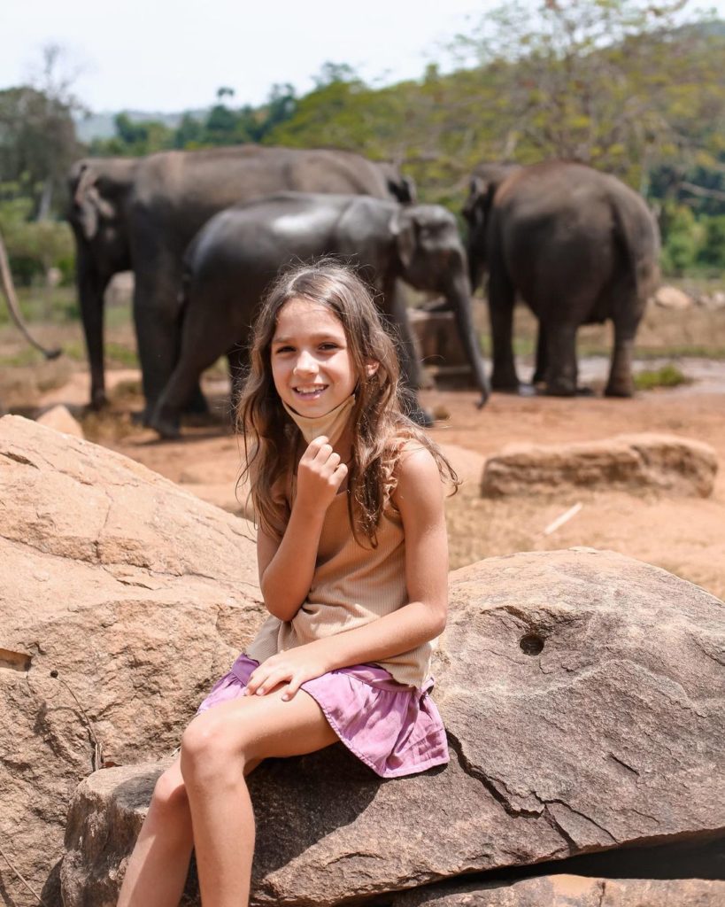 Pinnawala Elephant Orphanage Sri Lanka